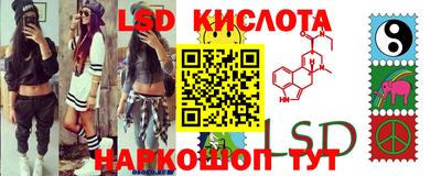 прущие грибы Нальчик