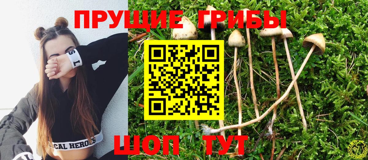 Сызрань  Галлюциногенные грибы Magic Shrooms  где можно купить   Вход с VPN 